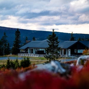 Birkebeinerbakken Panorama Lodge (25 sengeplasser)