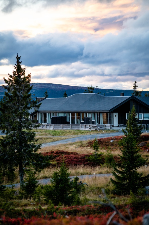 Birkebeinerbakken Panorama Lodge (25 sengeplasser) - Bilde 4