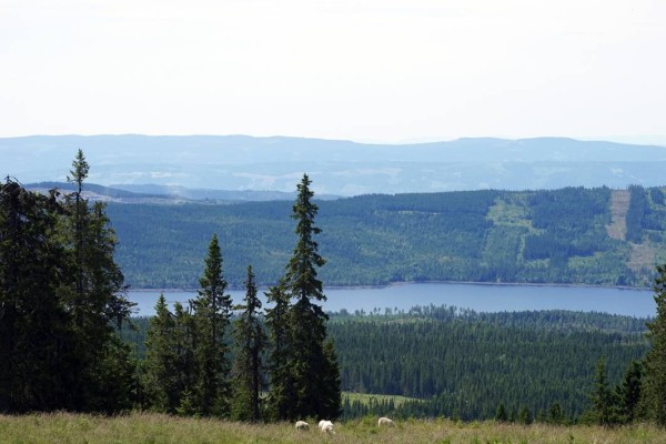 Birkebeinerbakken Panorama Lodge (25 sengeplasser) - Bilde 28