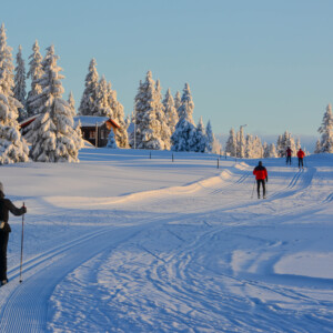 Support the ski trails at Sjusjøen